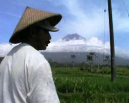 Waspadalah....! Gunung Semeru Keluarkan Suara Gemuruh dan Hujan Abu Vulkanik